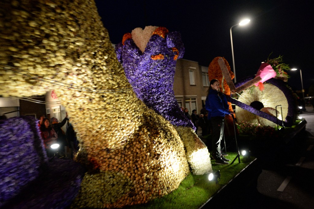 ../Images/Bloemencorso Noordwijkerhout 316.jpg